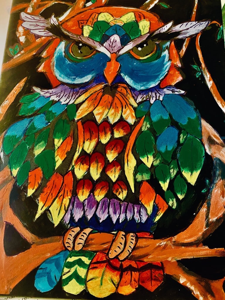 Colorful owl – Agomoni